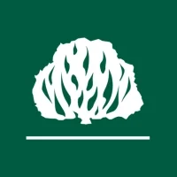 Rádio IPB