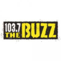 Rádio The Buzz 103.7 FM