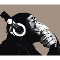 Rádio Macacos