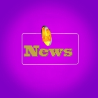 Ldnews