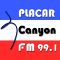 Rádio Placar - 99.1 FM