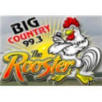 Rádio Big Country 99 99.3 FM