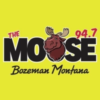 Radio The Moose 95.1 FM