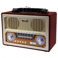 Web Radio Raiz Sertaneja