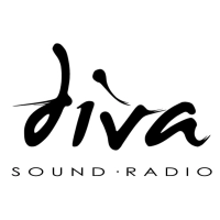 Diva Sound Radio - 95.1 FM