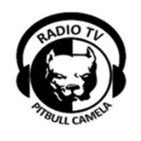 Rádio Pitbull Camela