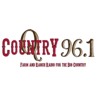 Country 96.1 96.1 FM