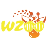 Radio WZOO 700 AM