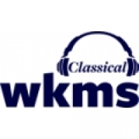 WKMS-HD2 91.3 FM