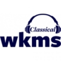 Radio WKMS-HD2 91.3 FM