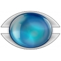 Universal Web