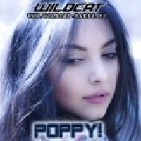 Rádio Poppy - WildCat