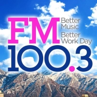 Radio FM 100.3