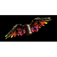 Radio Rock and Roll Heaven.net