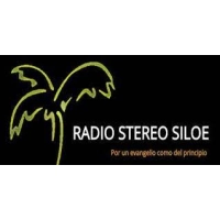 Stereo Siloe