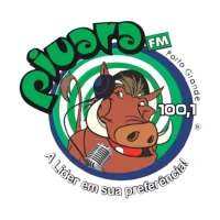 Rádio Piuara FM - 100.1 FM